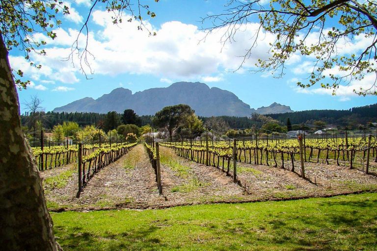 Franschhoek Wine Tram Essential Guide Tips Two Wandering Soles