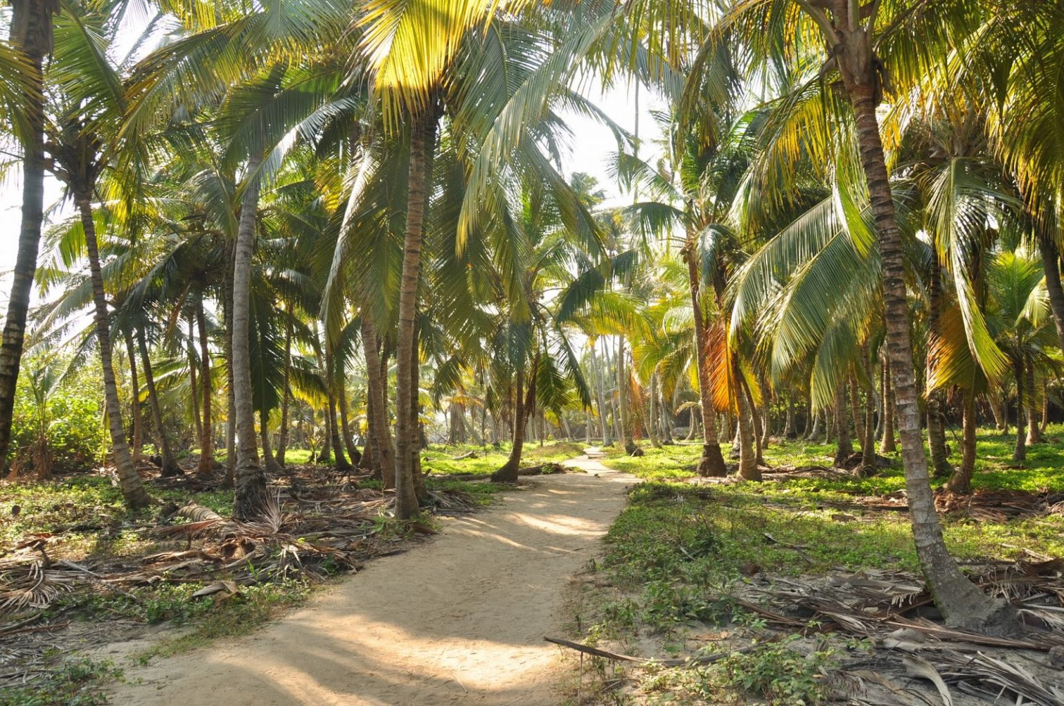 Tayrona National Park: Beach Camping in Colombia | Two Wandering Soles