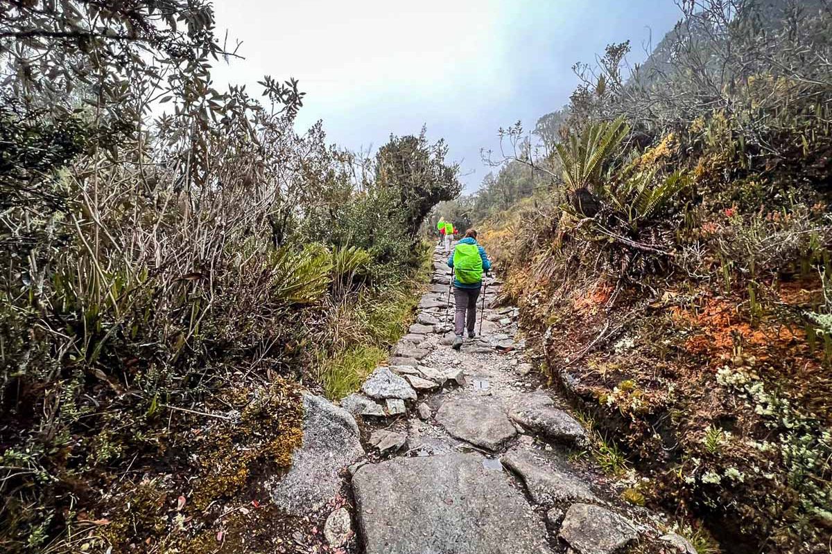 Inca Trail to Machu Picchu Hike: Ultimate Guide | Two Wandering Soles