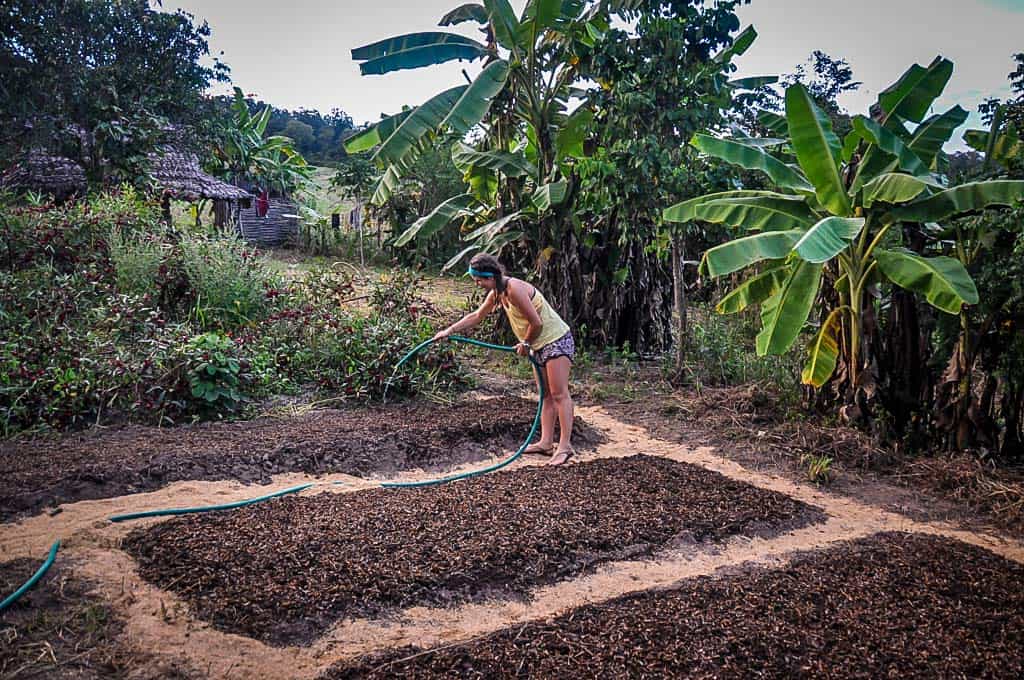 Volunteering on a farm Pai, Thailand