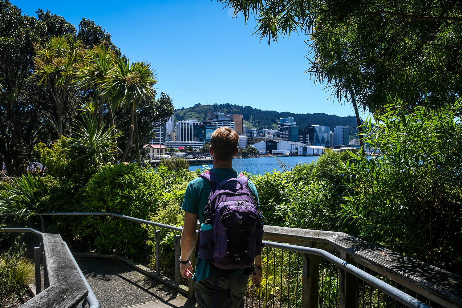 17 Things To Do In Wellington That You Can’t Miss Working Holiday Guide