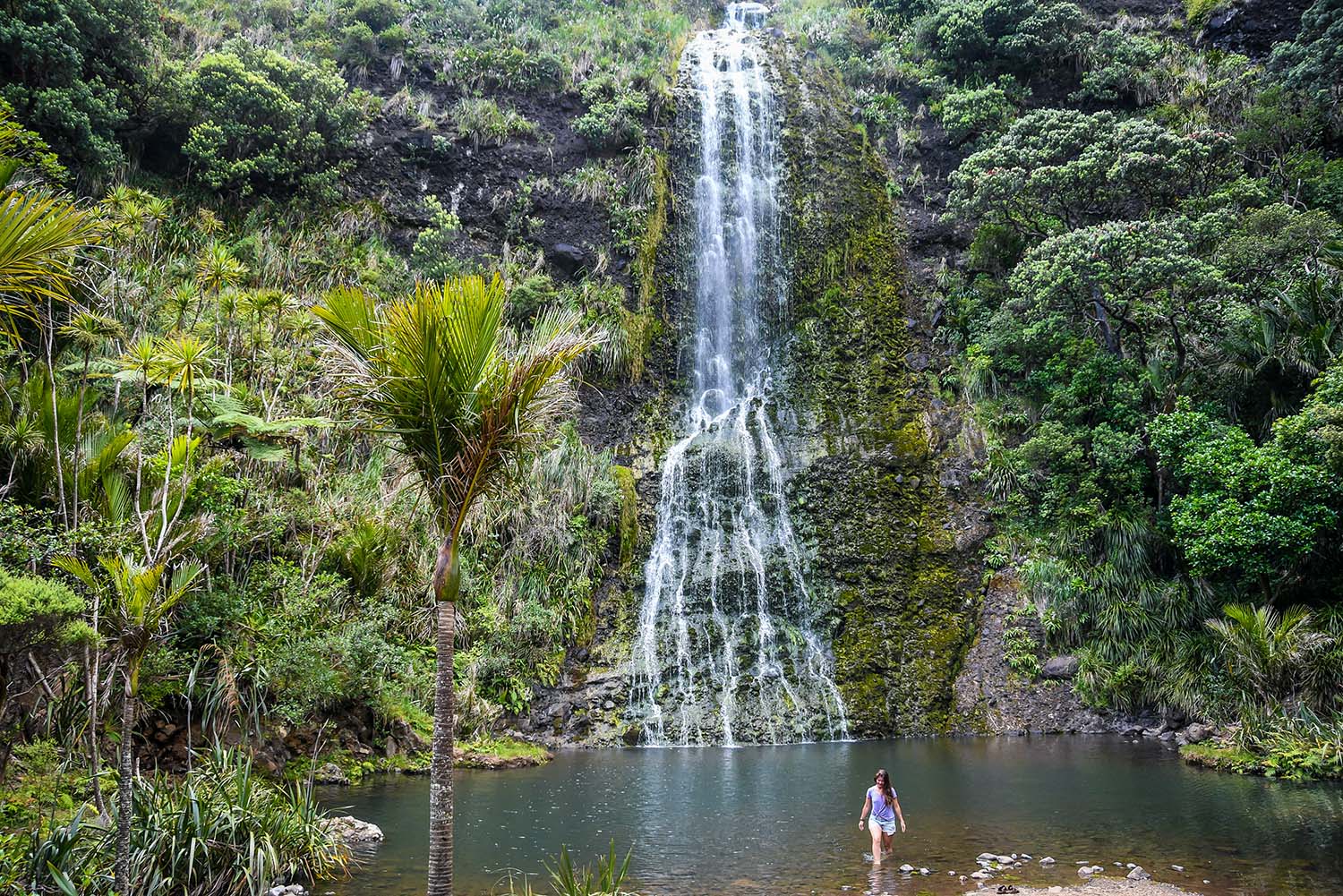 North Island New Zealand Itinerary: Ultimate 2-Week Road Trip | Two ...