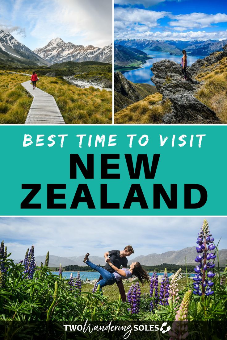 Best Time to Visit New Zealand: When to Go & When to Avoid!