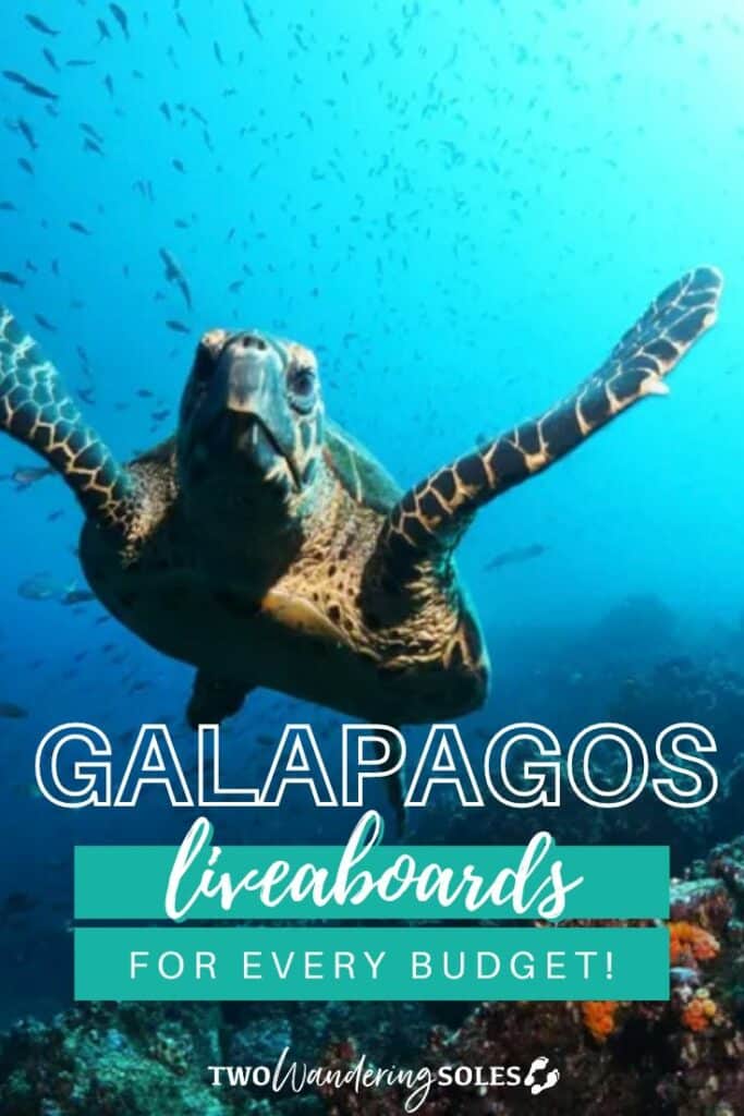 Galapagos Liveaboards | Two Wandering Soles