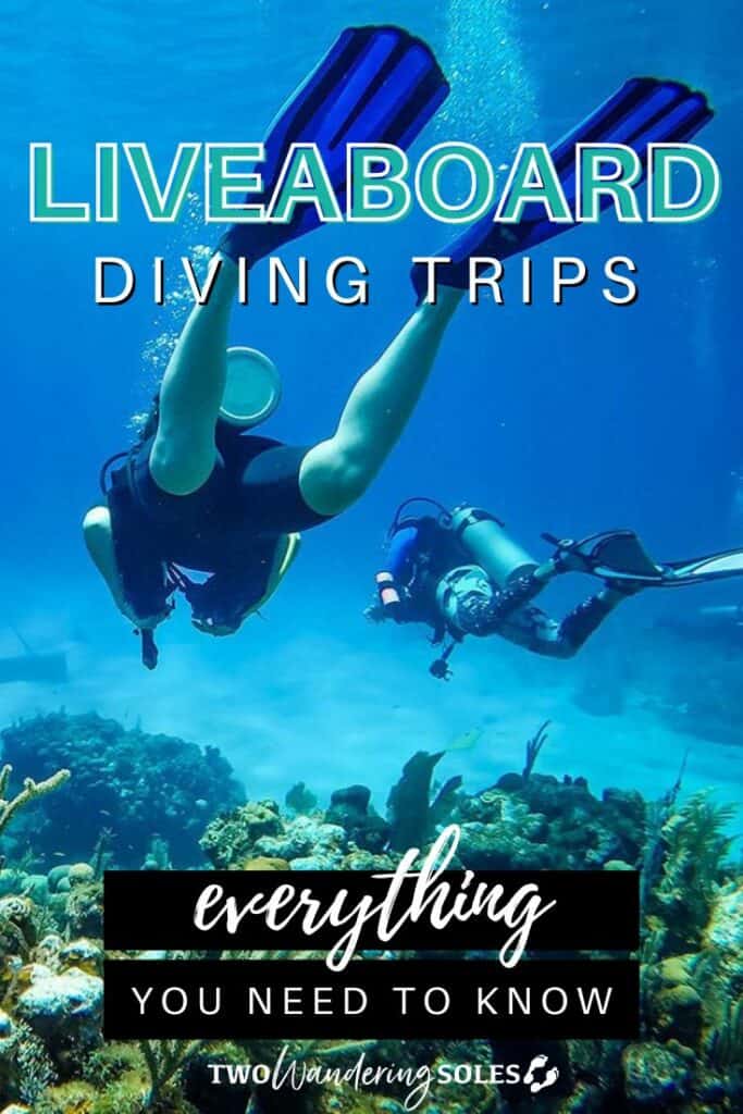 Liveaboard diving trip | Two Wandering Soles
