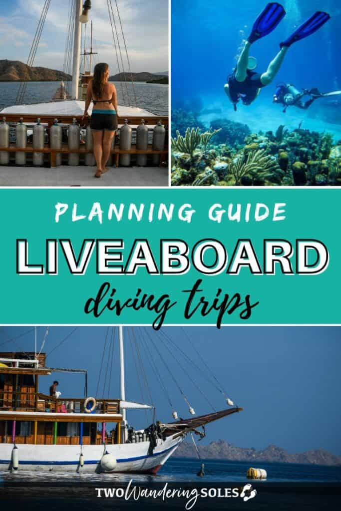 Liveaboard diving trip | Two Wandering Soles