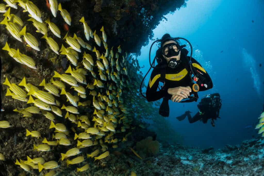 Maldives scuba diving (Sebastian Pena Lambarri)