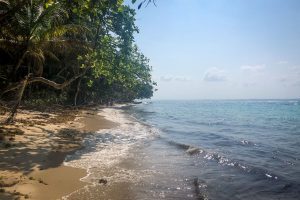 The Ultimate Guide to Bocas del Toro, Panama | Two Wandering Soles