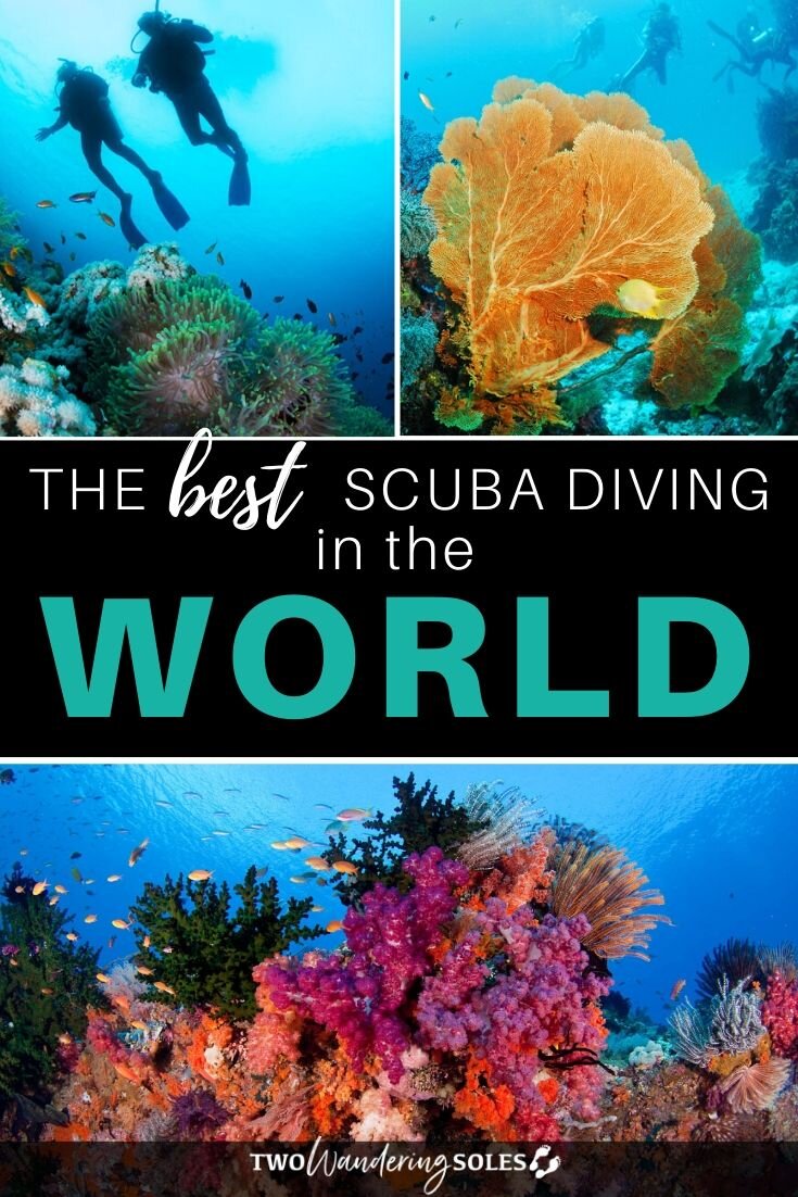 Best Scuba Diving in the World + Liveaboards | Two Wandering Soles