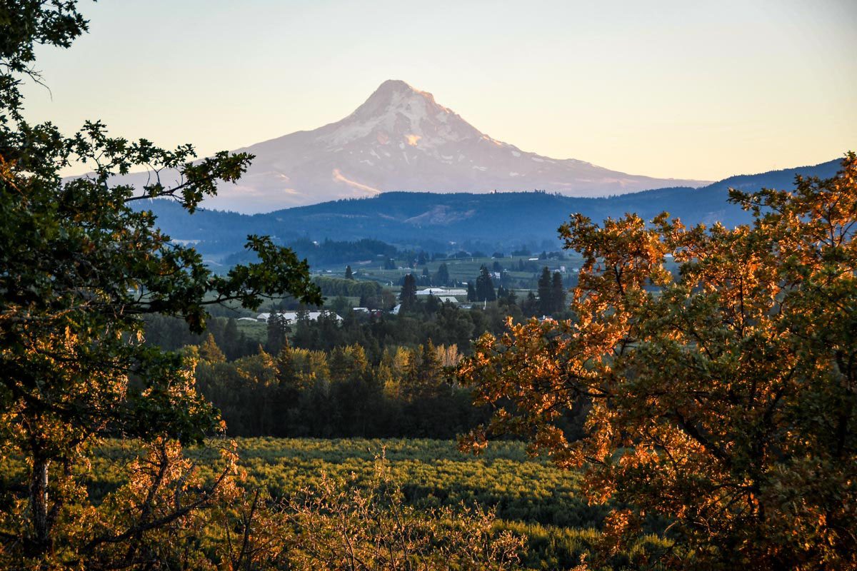 17 Fun Things to Do in Hood River, Oregon | Two Wandering Soles