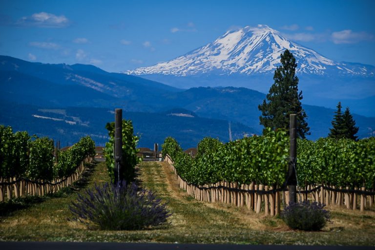 Best Stops Along the Hood River Fruit Loop in Oregon | Two Wandering Soles