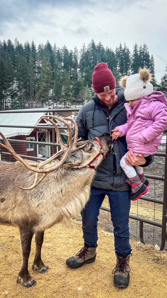 Leavenworth Reindeer Farm