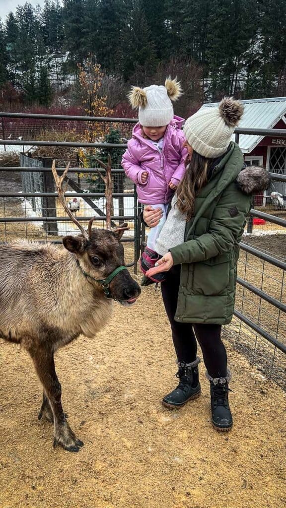 Leavenworth Reindeer Farm