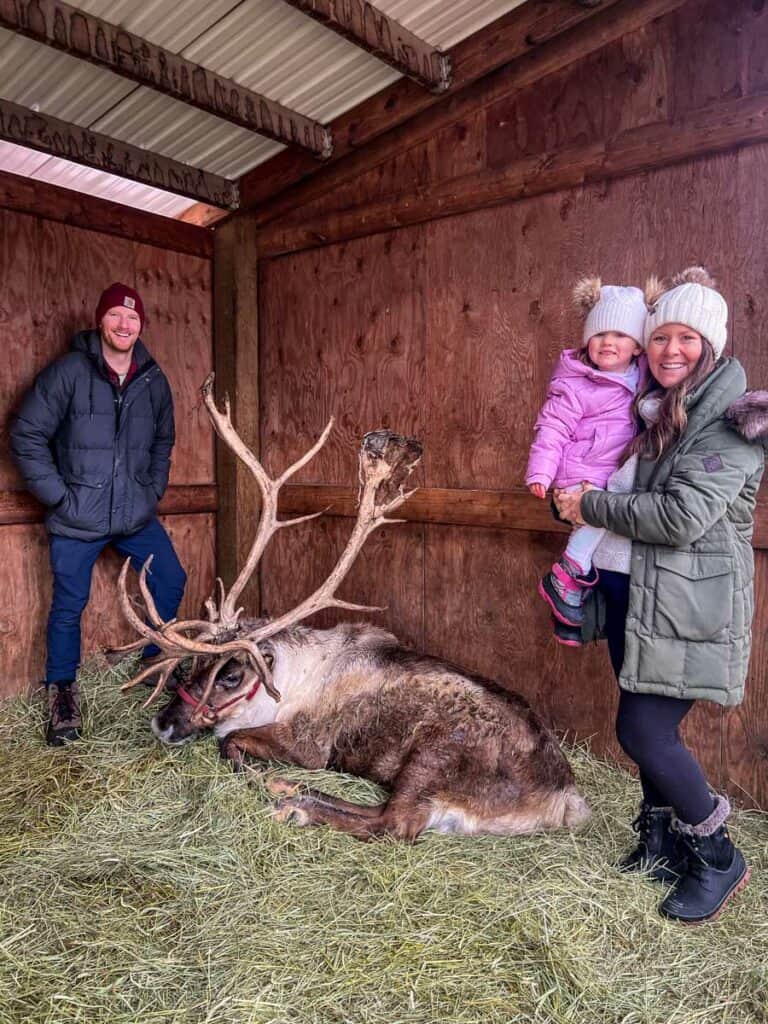 Leavenworth Reindeer Farm