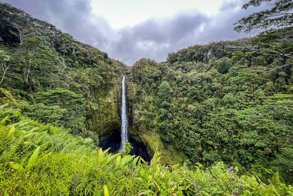 11 Incredible Things To Do in Hilo Hawaii - Planet with Sara