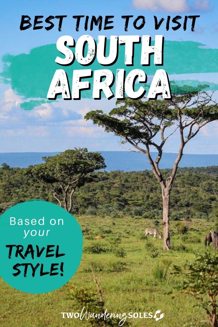 Best Time to Visit South Africa: When to Go & When to Avoid!