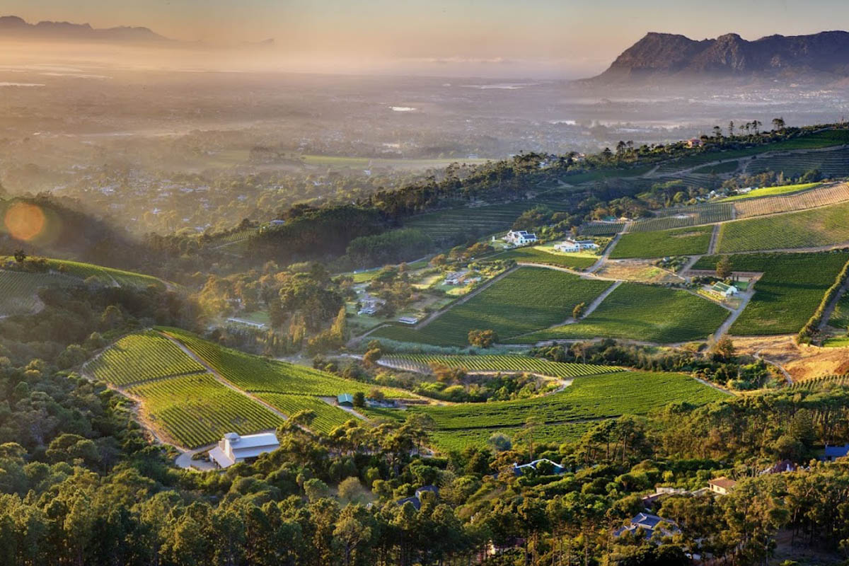 Absolute Best Wine Farms in Stellenbosch | Two Wandering Soles