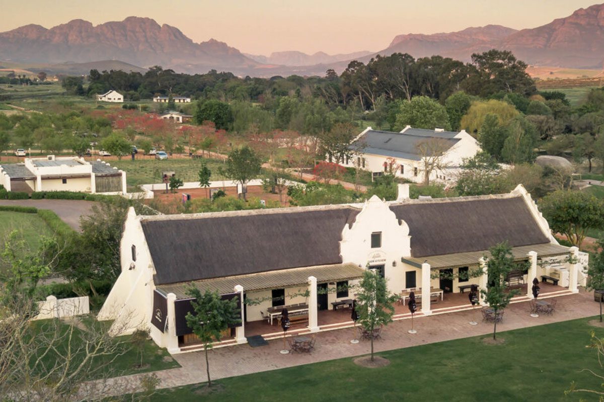 valentines day at spier wine farm in stellenbosch