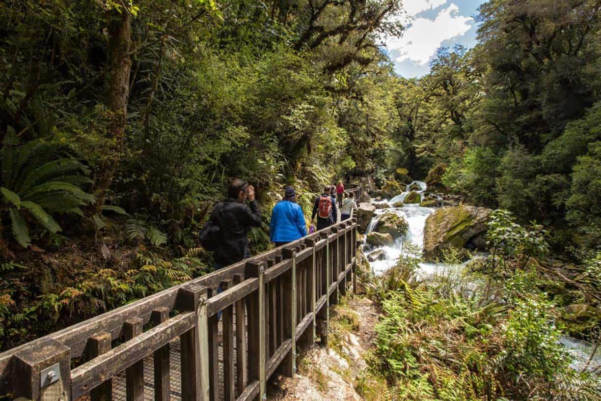 Milford Sound Cruise Coach and Walk (GYG)