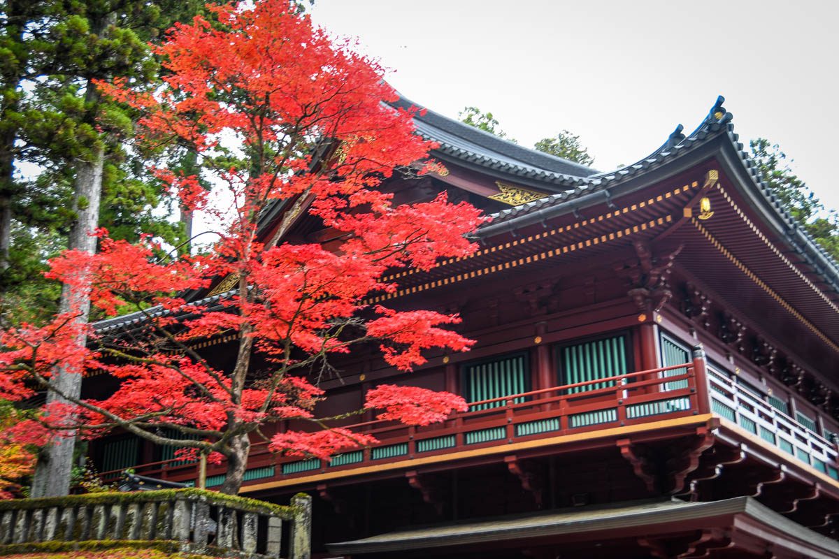 Autumn in Japan Where & When to see Fall Foliage (2024)