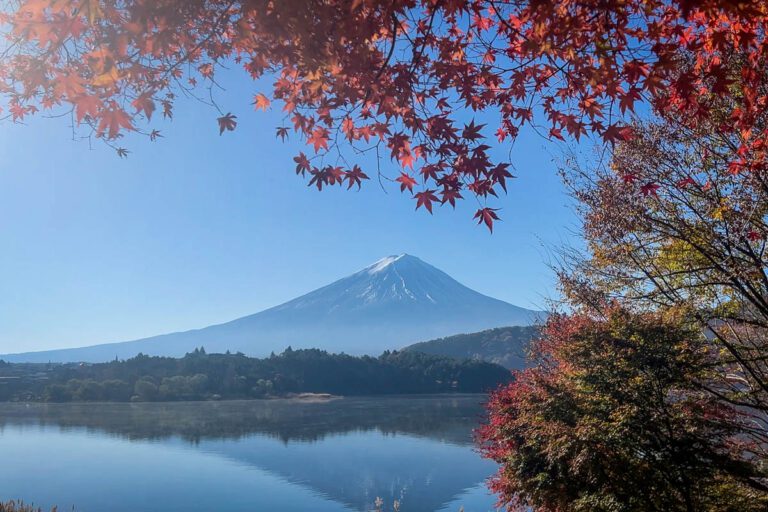 Autumn in Japan: Where & When to see Fall Foliage (2024)