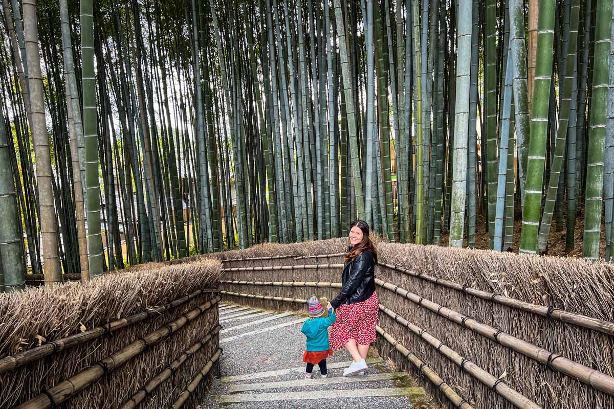 16 Best Day Trips from Osaka | Two Wandering Soles