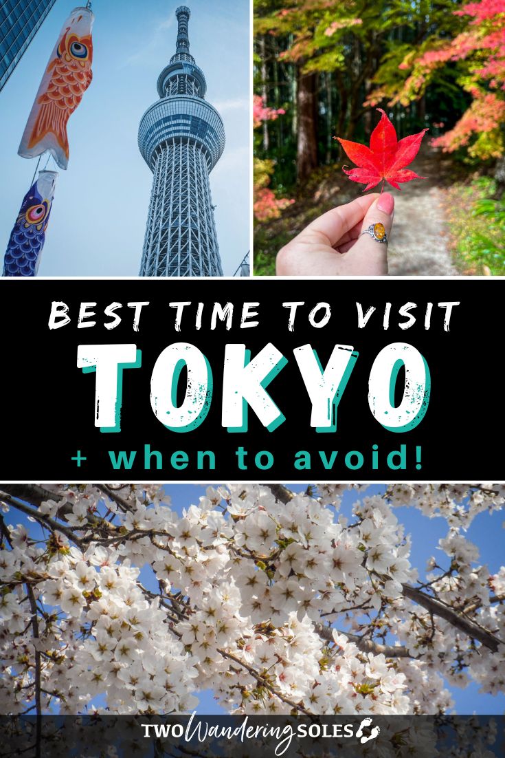 Best Time to Visit Tokyo: When to Go & When to Avoid | Two Wandering Soles