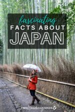 60 Interesting Facts About Japan + Travel Tips | Two Wandering Soles