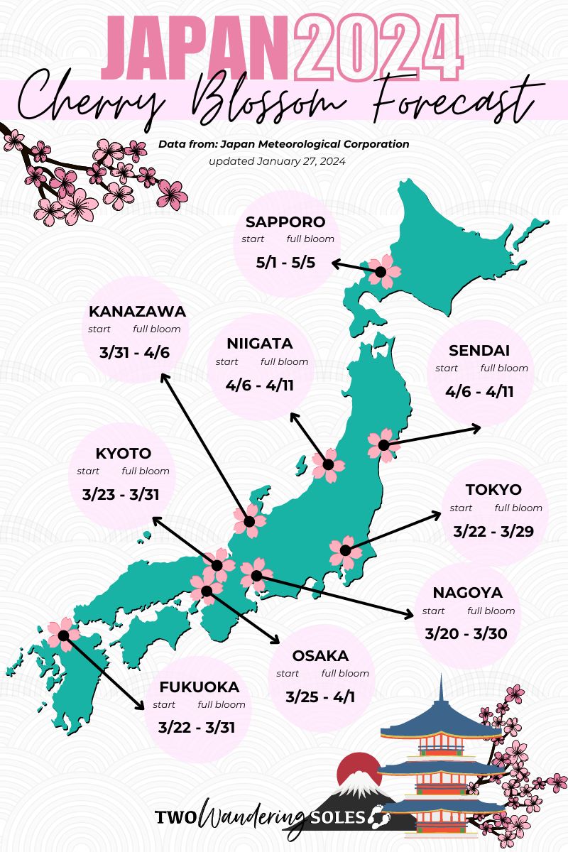 Spring in Japan: When & Where to See Cherry Blossoms (2024) | Two ...