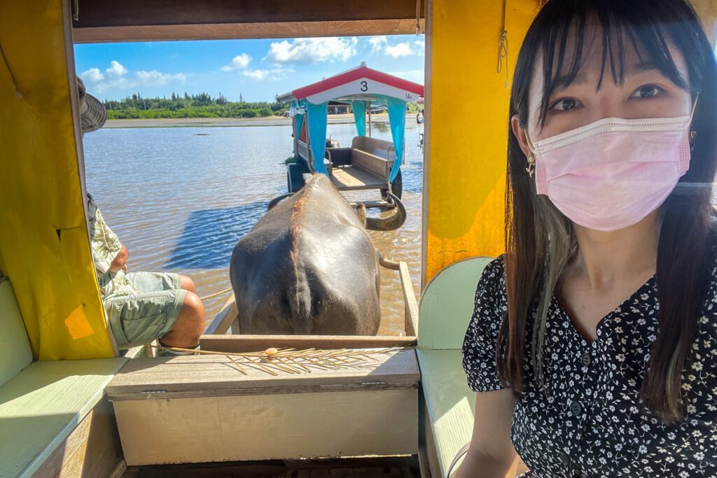 Water Buffalo Cart to Yufu Island, Okinawa, Japan (Nagisa Tsuchida)