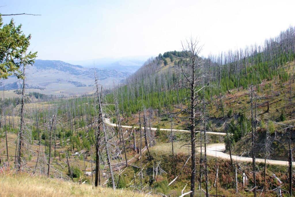 Blacktail Plateau Drive Yellowstone (Mike Goad)