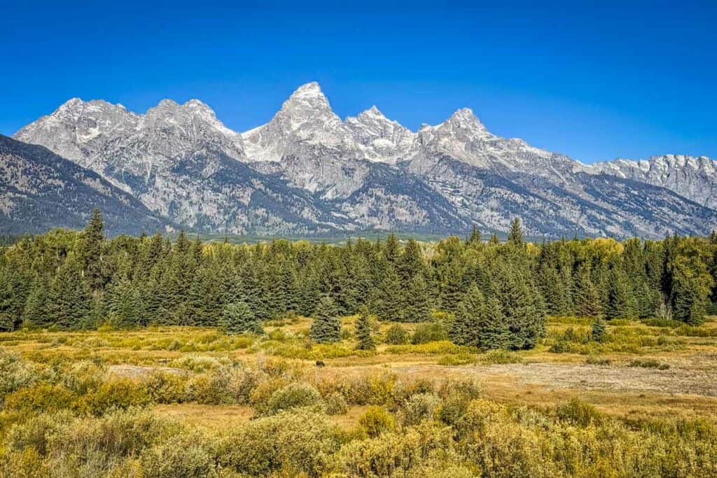 Blacktail Ponds Overlook Grand Teton National Park