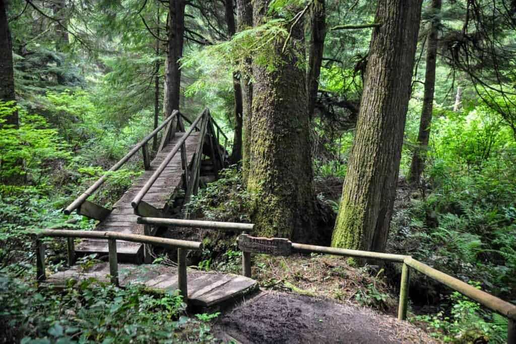 Shi Shi Beach trail Washington