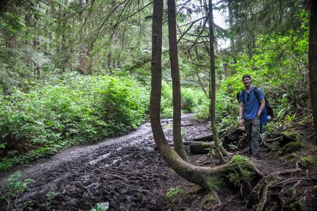 Shi Shi Beach trail Washington