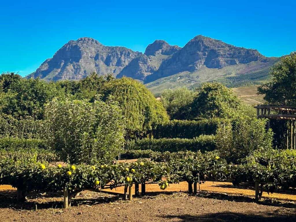 Babylonstoren Wine Estate