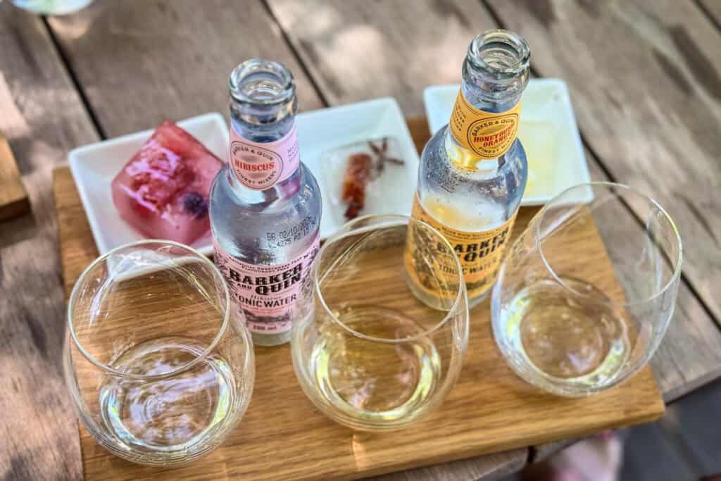 Bartinney Wine Estate Gin Tasting