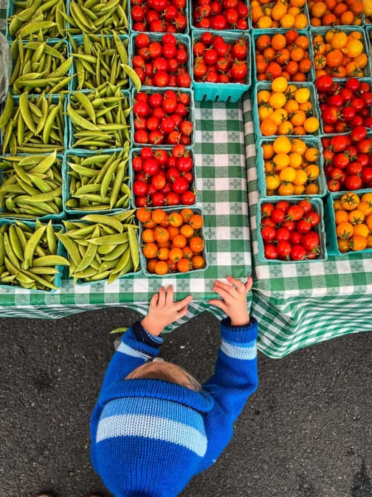 Farmers Market Newport Oregon Coast