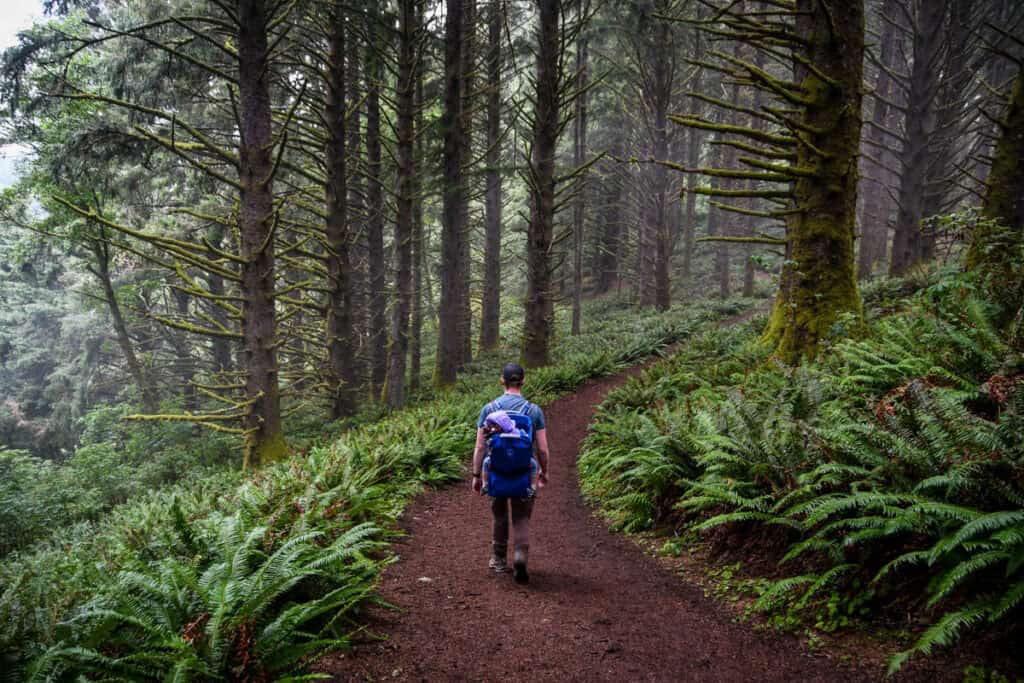 Oregon Coast hiking trail