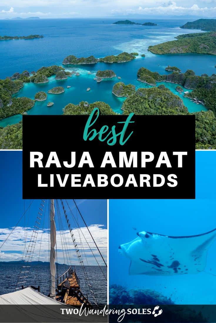 Best Liveaboards in Raja Ampat, Indonesia for Every Budget (+ Expert ...