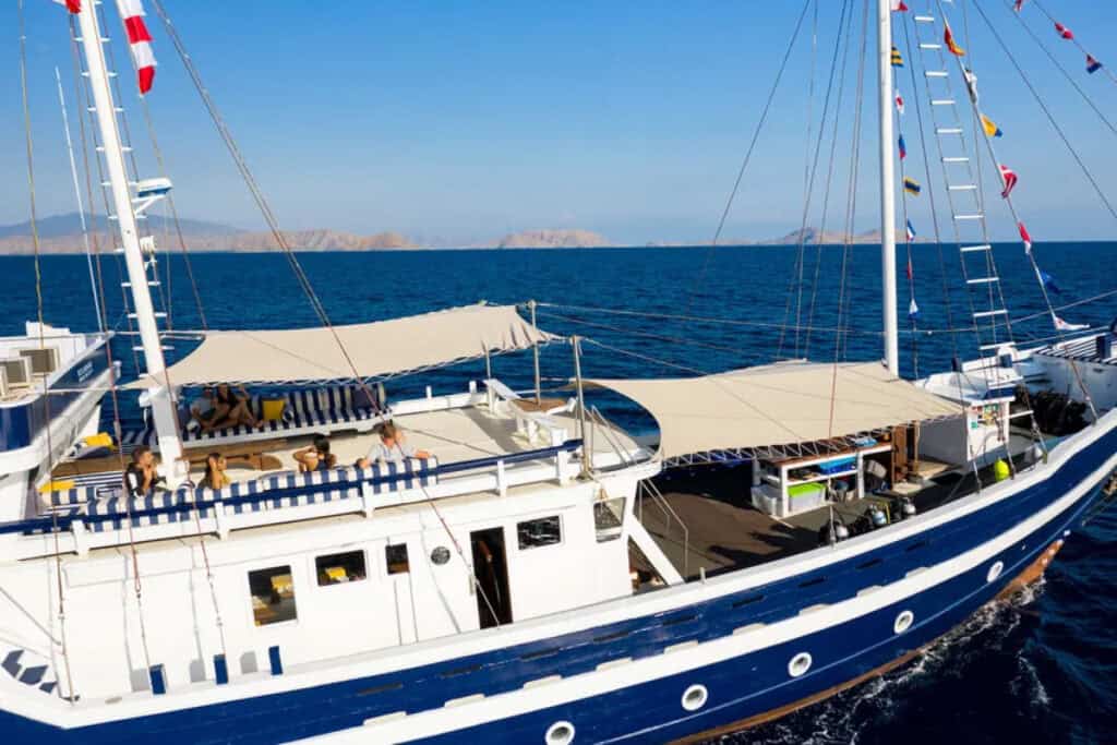 Seahorse Raja Ampat Liveaboard Indonesia