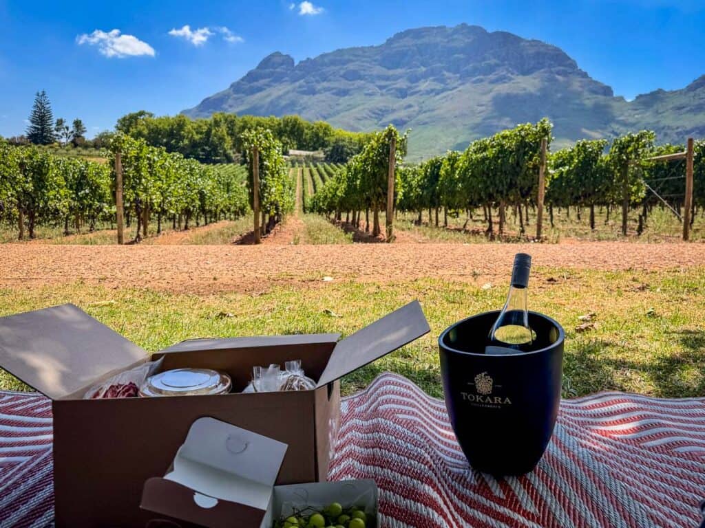 Tokara wine picnic