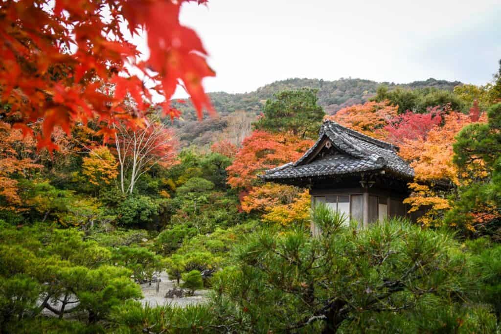 Autumn in Japan fall foliage momiji Okochi Sanso Garden, Arashiyama Kyoto