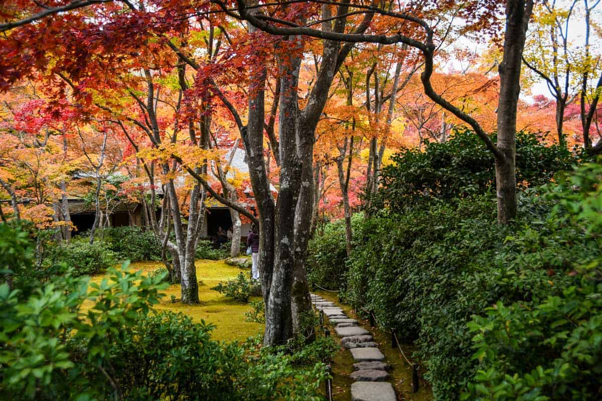 Autumn in Japan fall foliage momiji Okochi Sanso Garden, Arashiyama Kyoto