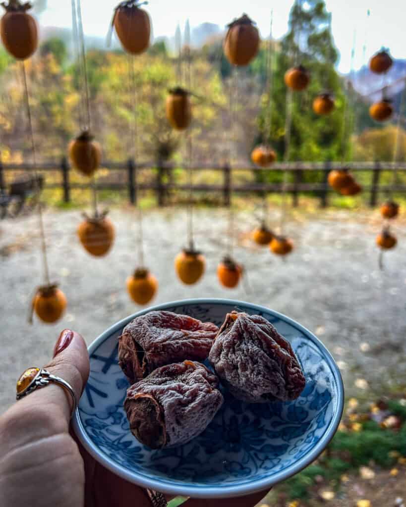 Hoshigaki dried persimmons autumn in Japan