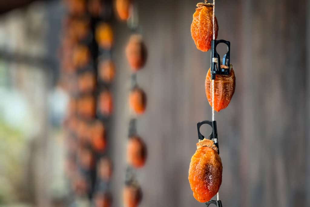 Persimmons drying autumn in Japan