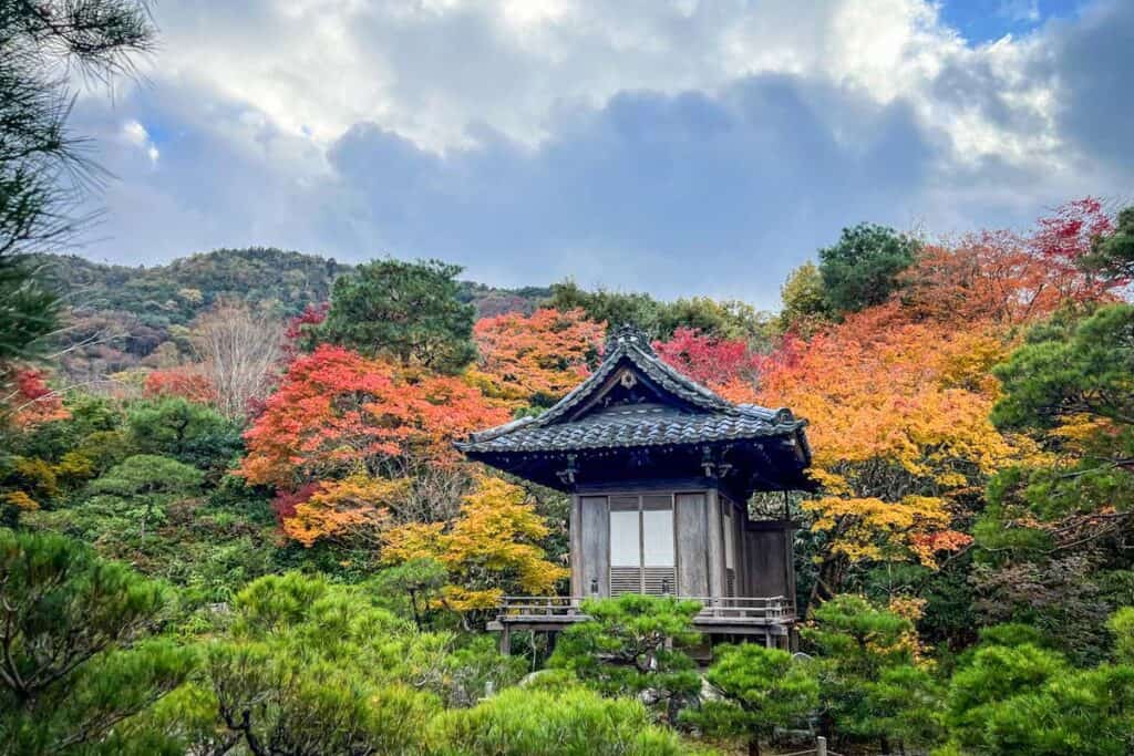 Autumn in Japan fall foliage momiji Okochi Sanso Garden, Arashiyama Kyoto