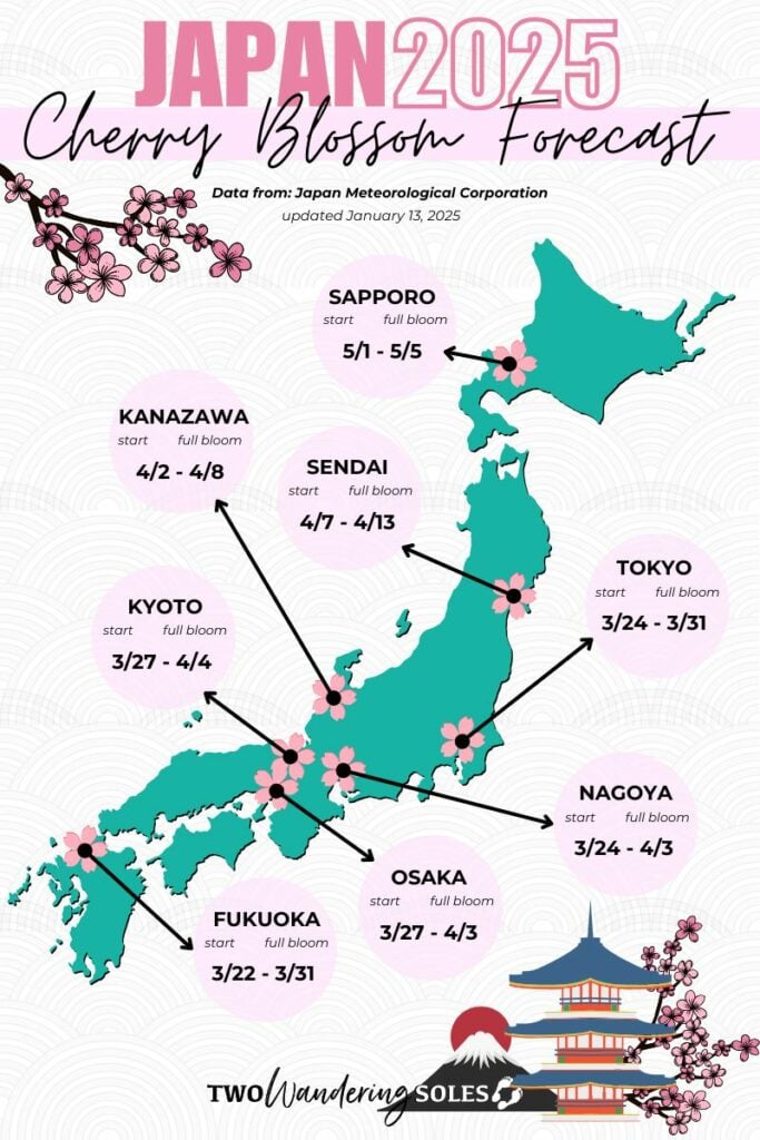 Japan Cherry Blossom Forecast 2025