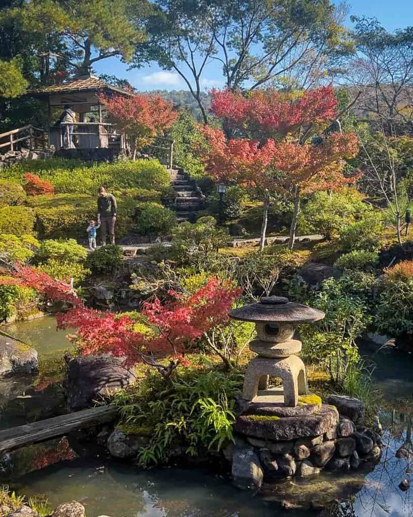 Autumn in Japan fall foliage momiji