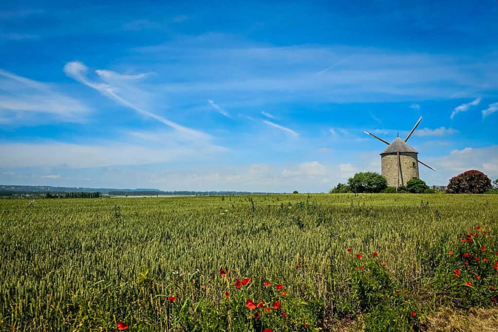 Windmill near Mont St Michel France (Veerle and Koen)