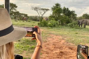 African safari South Africa